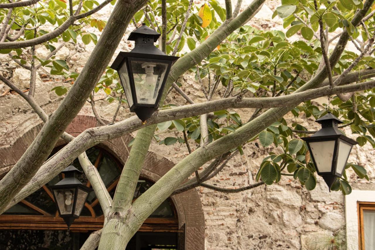 Orchid House Σαν Μιγκέλ ντε Αγιέντε Εξωτερικό φωτογραφία