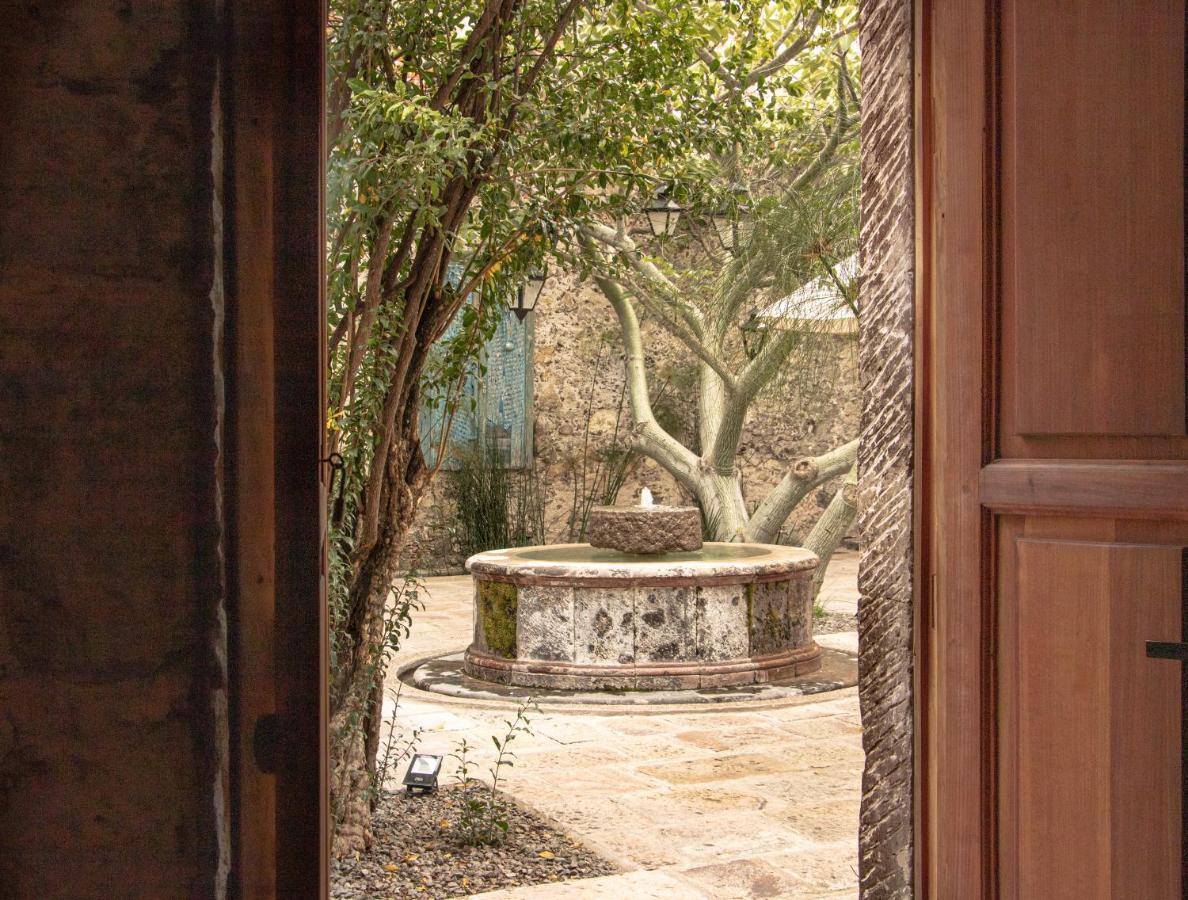 Orchid House Σαν Μιγκέλ ντε Αγιέντε Εξωτερικό φωτογραφία