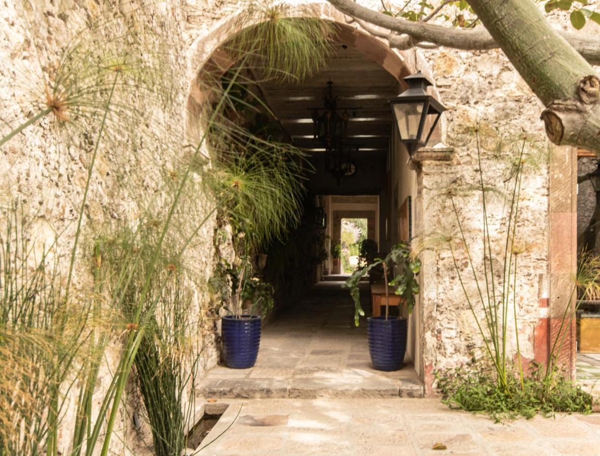 Orchid House Σαν Μιγκέλ ντε Αγιέντε Εξωτερικό φωτογραφία