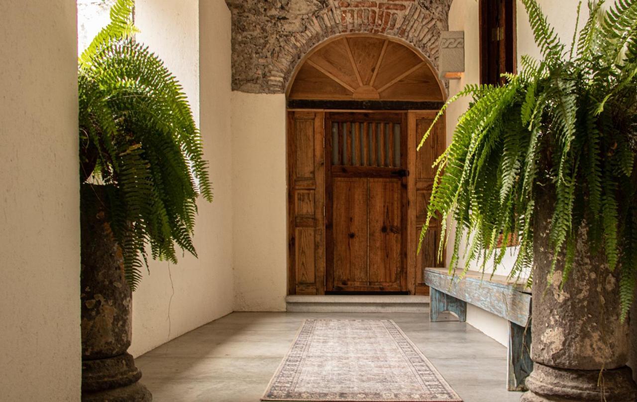 Orchid House Σαν Μιγκέλ ντε Αγιέντε Εξωτερικό φωτογραφία