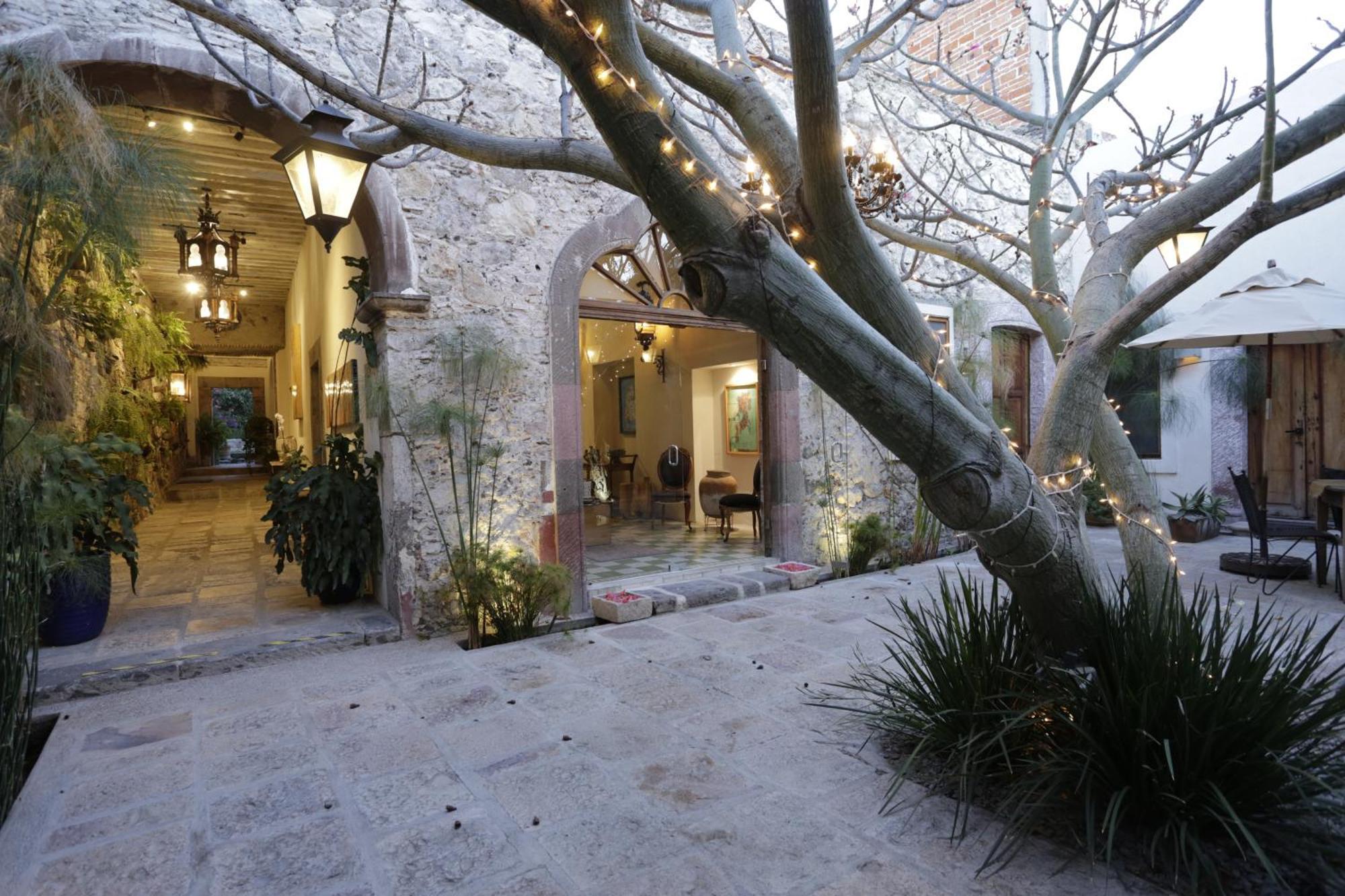 Orchid House Σαν Μιγκέλ ντε Αγιέντε Εξωτερικό φωτογραφία