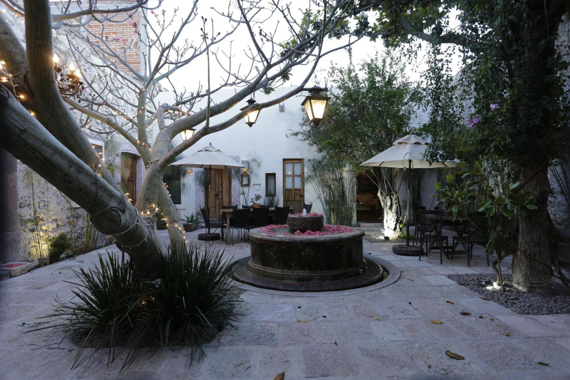 Orchid House Σαν Μιγκέλ ντε Αγιέντε Εξωτερικό φωτογραφία