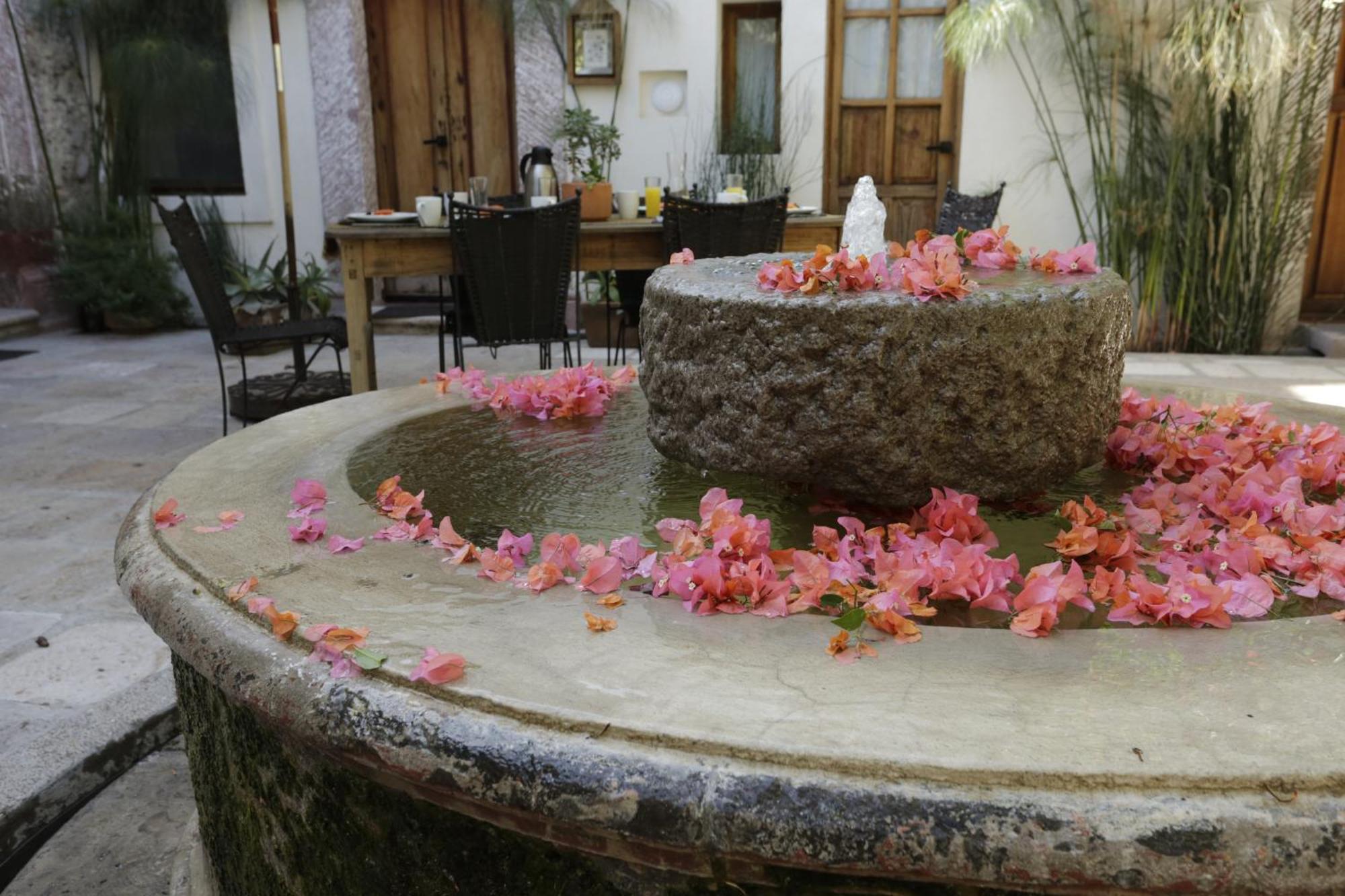 Orchid House Σαν Μιγκέλ ντε Αγιέντε Εξωτερικό φωτογραφία