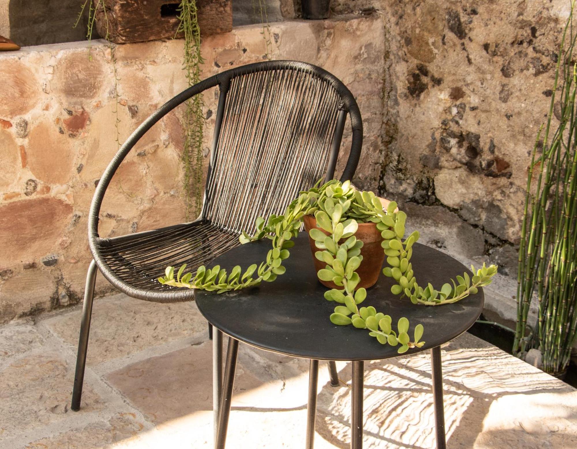 Orchid House Σαν Μιγκέλ ντε Αγιέντε Εξωτερικό φωτογραφία