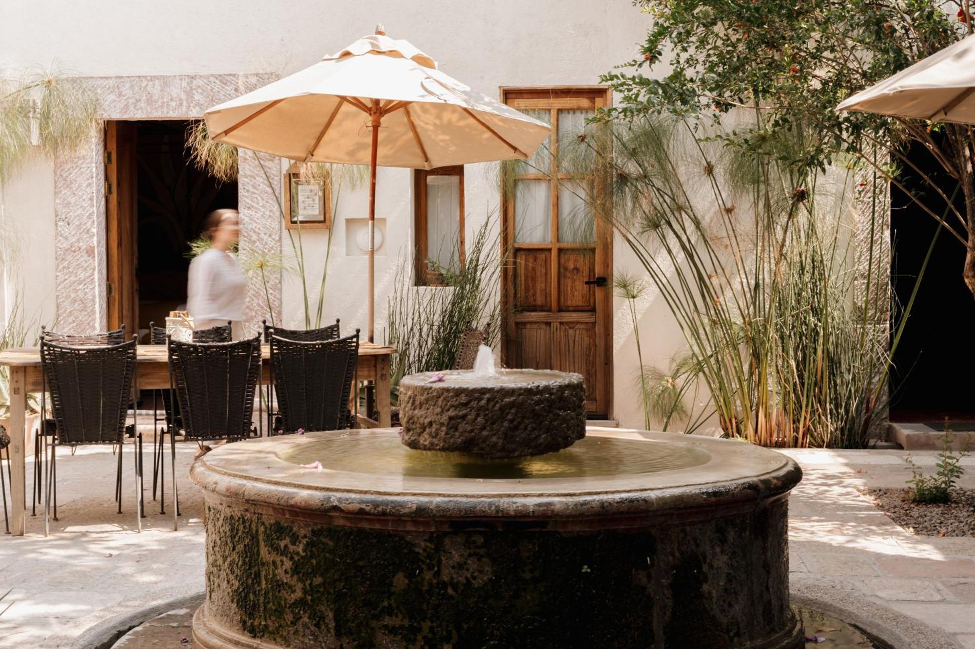 Orchid House Σαν Μιγκέλ ντε Αγιέντε Εξωτερικό φωτογραφία
