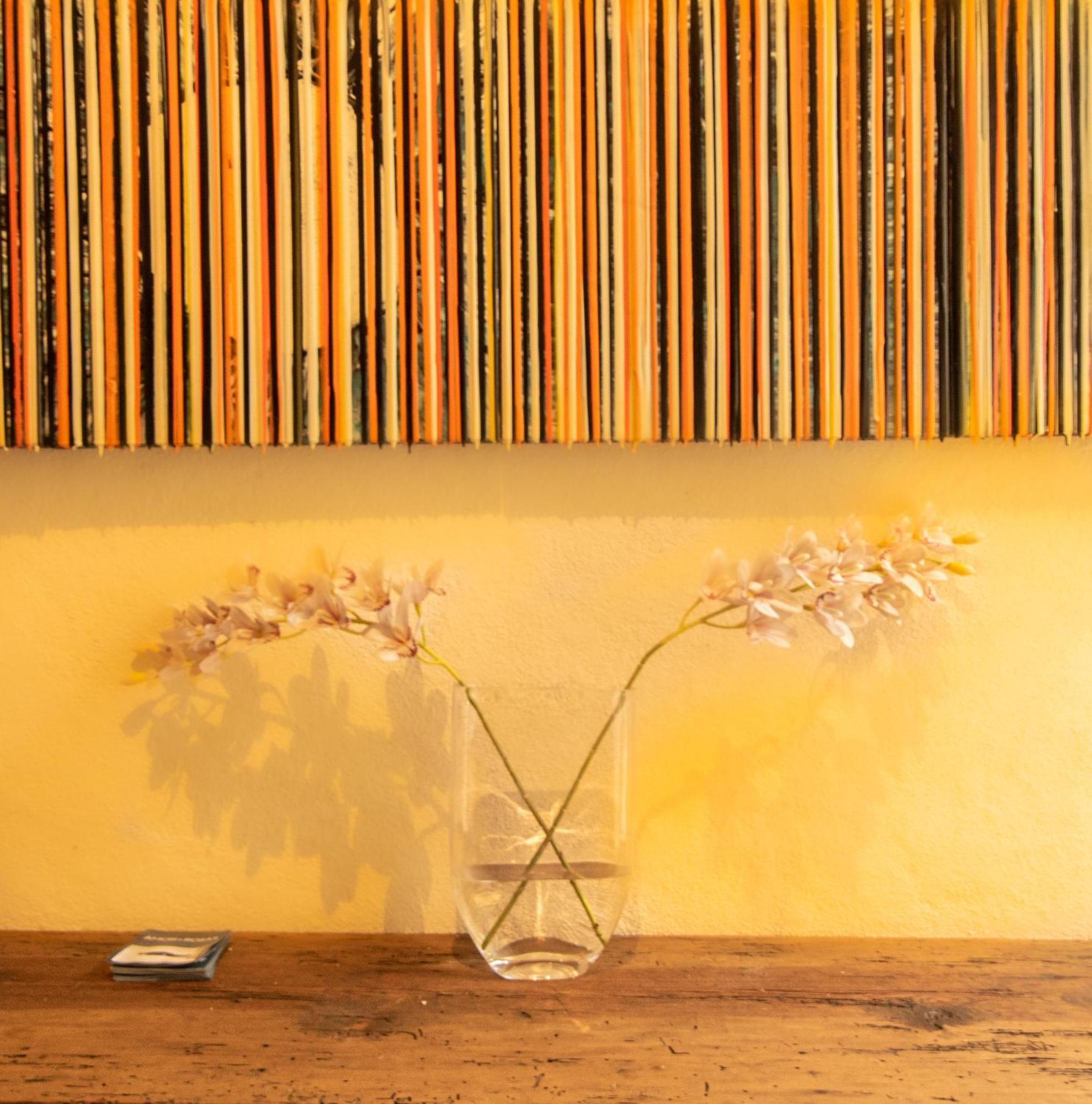 Orchid House Σαν Μιγκέλ ντε Αγιέντε Εξωτερικό φωτογραφία