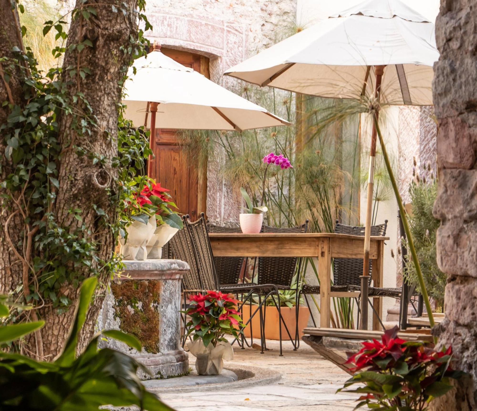 Orchid House Σαν Μιγκέλ ντε Αγιέντε Εξωτερικό φωτογραφία